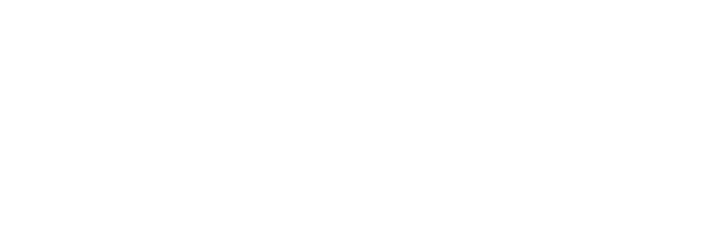 Darmstädter Echo